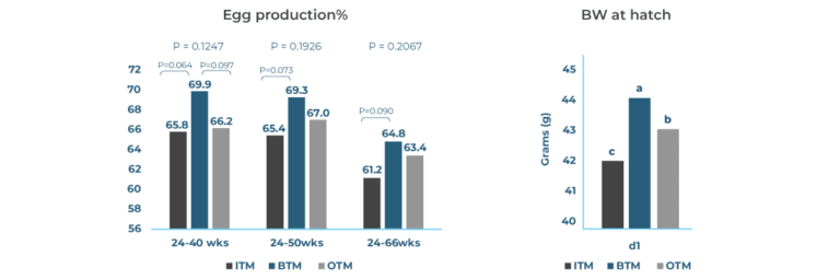 egg production graph