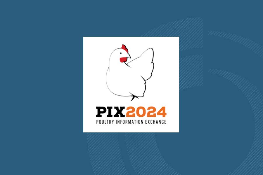 PIX 2024
