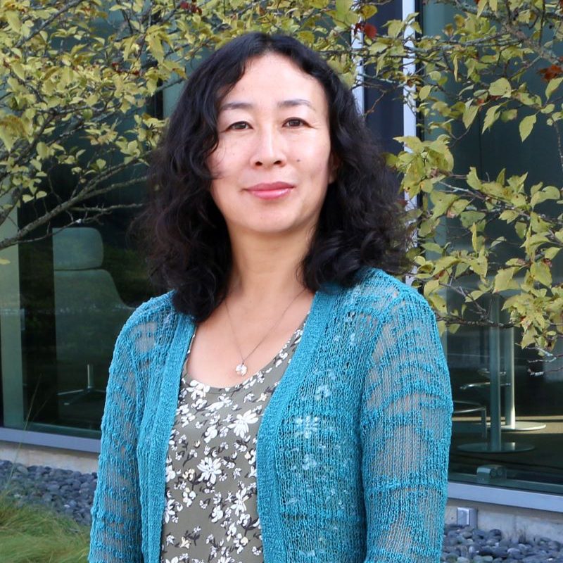 Frances Yan, Ph.D.