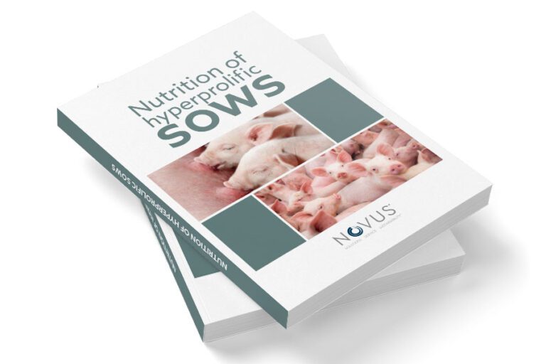 nutrition of hyperprolific sow book