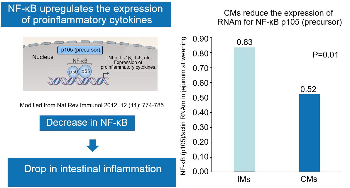 Epigenetics in Sows: The Role of Trace Elements in the Offspring's Development