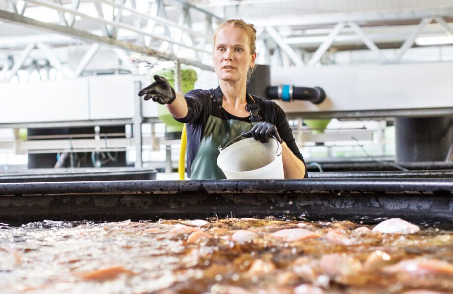 female working in fish farm