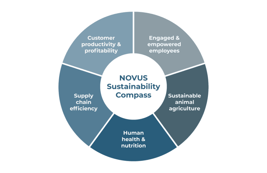 NOVUS Sustainability Compass