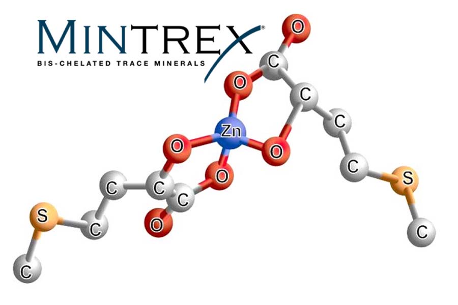 mintrex molecule
