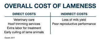 overall cost of lameness chart