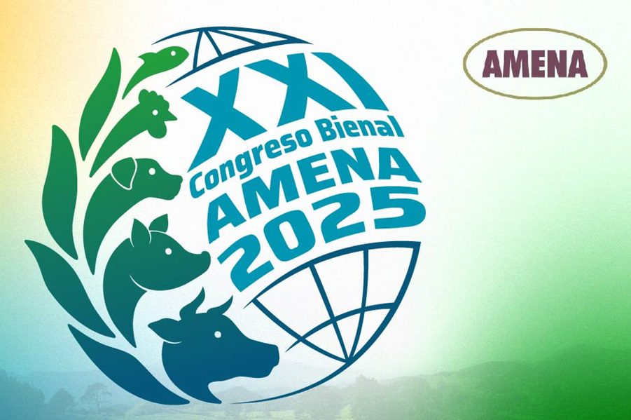 AMENA 2025 logo