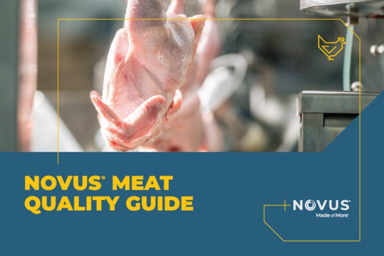 Meat Quality Tool Guide